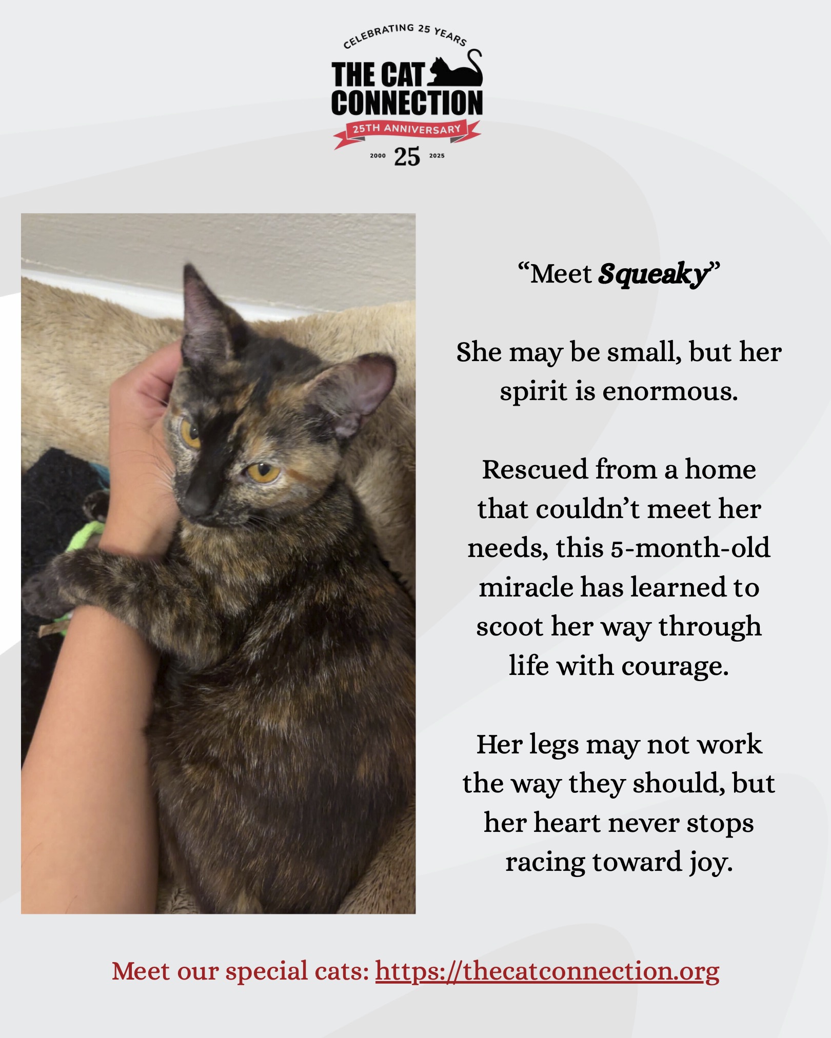 Meet Squeaky — introduction post