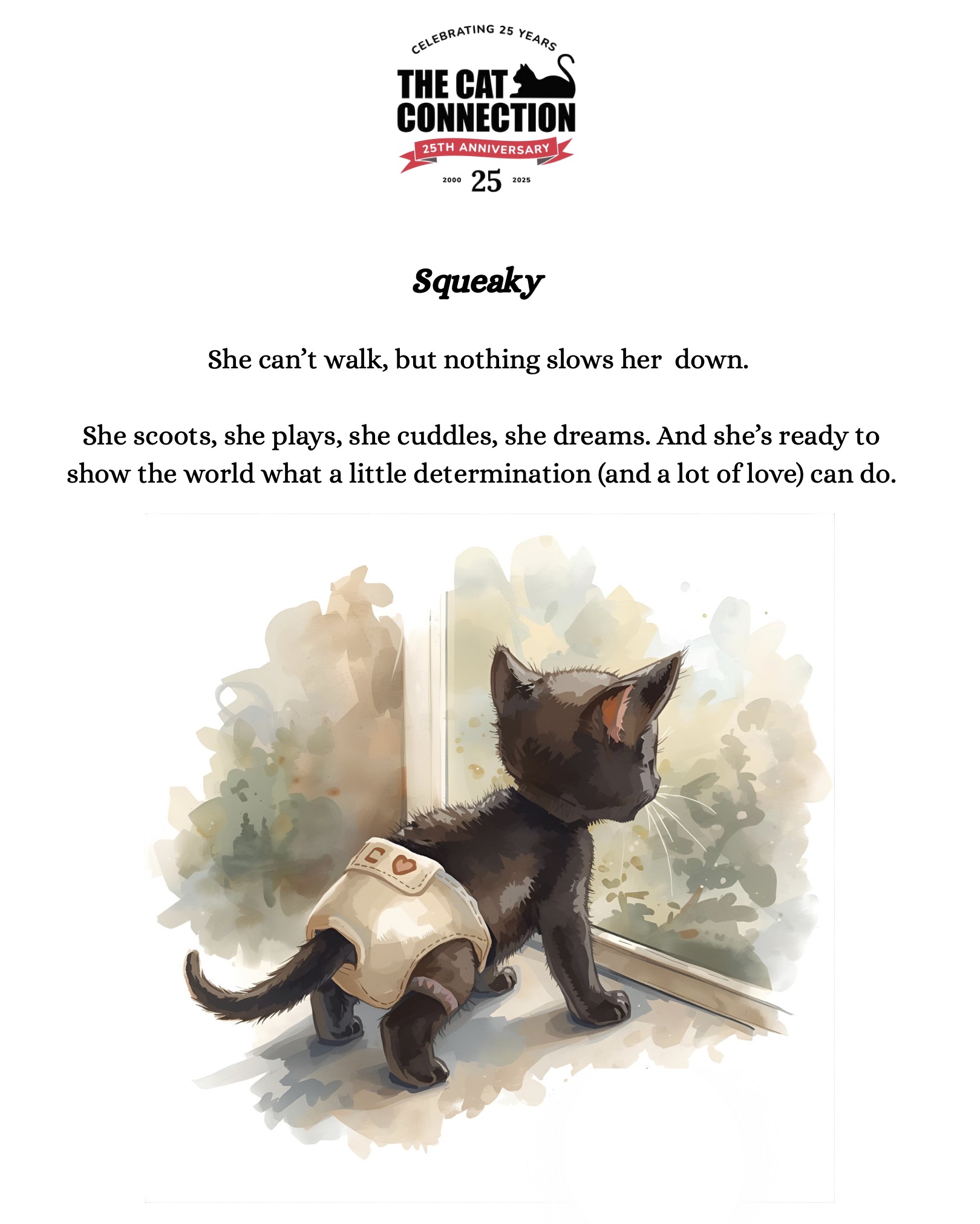 Squeaky's Story — illustrated post