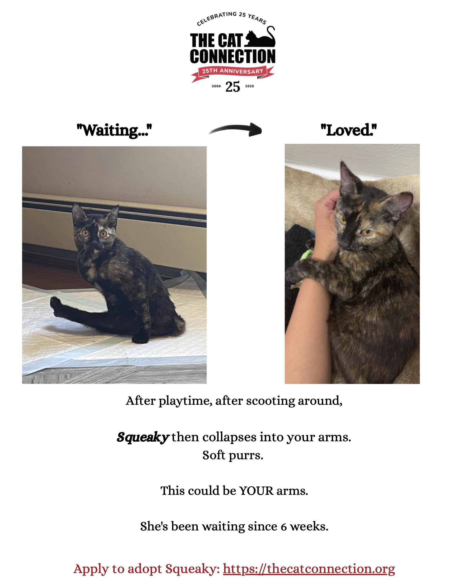 Waiting to Loved — before/after transformation post